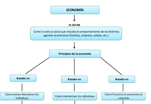 PRINCIPIOS ECONOMICOS