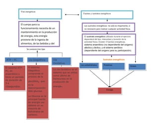 3204210-15494000294640-506095Vías energéticas00Vías energéticas294640280670El cuerpo para su funcionamiento necesita de un mantenimiento en la producción de energía, esta energía proviene de la ingesta de alimentos, de las bebidas y del propio oxigeno que respiramos00El cuerpo para su funcionamiento necesita de un mantenimiento en la producción de energía, esta energía proviene de la ingesta de alimentos, de las bebidas y del propio oxigeno que respiramos5883910110490001460500110490004246880-387985Fuentes y sustratos energéticos00Fuentes y sustratos energéticos<br />431038064135Los sustratos energéticos  no solo es importante, si no necesario para realizar cualquier actividad física.00Los sustratos energéticos  no solo es importante, si no necesario para realizar cualquier actividad física.<br />588391026162000<br />4310380108585El sustrato energético utilizado durante el ejercicio dependerá del tipo, intensidad y duración de la actividad física. Existen 3 fuentes energéticas, sistema anaeróbico (no dependiente del oxígeno) aláctico y láctico, y el sistema aeróbico (dependiente del oxígeno para su participación).00El sustrato energético utilizado durante el ejercicio dependerá del tipo, intensidad y duración de la actividad física. Existen 3 fuentes energéticas, sistema anaeróbico (no dependiente del oxígeno) aláctico y láctico, y el sistema aeróbico (dependiente del oxígeno para su participación).<br />52882802499360Energía00Energía60325001457325006032500135128000476758014046200072237601000125Grasas00Grasas5553710936625Proteínas00Proteínas4107815936625Los carbohidratos00Los carbohidratos431038044767500767016551117500-6661151106805El sistema ATP-PC, es anaeróbico y tiene un periodo de duración de 3 a 15 segundos.00El sistema ATP-PC, es anaeróbico y tiene un periodo de duración de 3 a 15 segundos.23539451212850La vía Oxidativo es el sistema que se utiliza como último de los recursos en la producción de energía.00La vía Oxidativo es el sistema que se utiliza como último de los recursos en la producción de energía.7696201085215El sistema Glagolítico comprende el proceso de la glucólisis, que es la descomposición de la glucosa.La Glucosa es la principal fuente de energía y se obtiene en su mayoría de los hidratos de carbono. 00El sistema Glagolítico comprende el proceso de la glucólisis, que es la descomposición de la glucosa.La Glucosa es la principal fuente de energía y se obtiene en su mayoría de los hidratos de carbono. 2984500110680500139573091503500-102870936625002353945596265Vía Oxidativa.00Vía Oxidativa.812165596265Vía Glagolítica 00Vía Glagolítica -601980596265ATP - PC 00ATP - PC 303847531305500146050031305500-29273531305500-29273531305500145986514287500                         Se conocen tres tipo<br />614934012446000                                                                                                                                                    <br />                                                                                                                              Sustratos energéticos<br />
