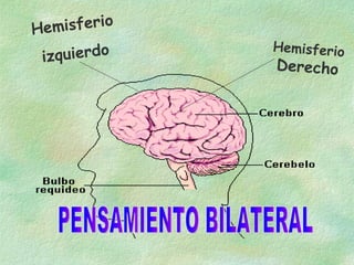 PENSAMIENTO BILATERAL Hemisferio  izquierdo  Hemisferio  Derecho 