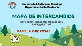 80
MAPA DE INTERCAMBIOS
Universidad Autónoma Chapingo
Departamento De Zootecnia
PAMELA RUIZ ROSAS
 