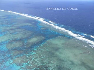 BARRERA DE CORAL 