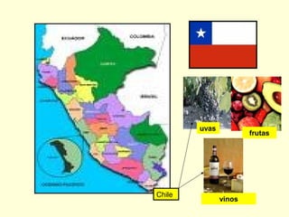 Chile
vinos
uvas
frutas
 