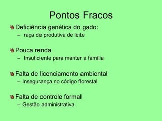 Pontos Fracos Deficiência genética do gado: raça de produtiva de leite Pouca renda  Insuficiente para manter a família Falta de licenciamento ambiental Insegurança no código florestal Falta de controle formal Gestão administrativa 
