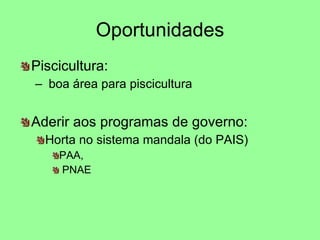 Oportunidades Piscicultura: boa área para piscicultura Aderir aos programas de governo: Horta no sistema mandala (do PAIS) PAA, PNAE 