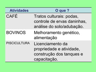 Atividades O que ? CAFÉ Tratos culturais: podas, controle de ervas daninhas, análise do solo/adubação. BOVINOS Melhoramento genético, alimentação PISCICULTURA Licenciamento da propriedade e atividade, construção dos tanques e capacitação. 