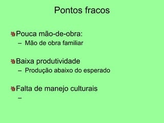 Pontos fracos Pouca mão-de-obra: Mão de obra familiar  Baixa produtividade Produção abaixo do esperado Falta de manejo culturais 