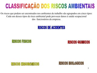 Os riscos que podem ser encontrados nos ambientes de trabalho são agrupados em cinco tipos: 
3 
Cada um desses tipos de risco ambiental pode provocar danos à saúde ocupacional 
dos funcionários da empresa. 
 