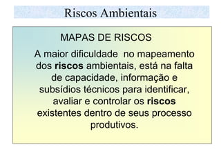 Mapa de riscos ambientais | PDF