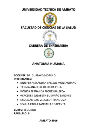 UNIVERSIDAD TECNICA DE AMBATO
FACULTAD DE CIENCIAS DE LA SALUD
CARRERA DE ENFERMERIA
ANATOMIA HUMANA
DOCENTE: DR. GUSTAVO MORENO
INTEGRANTES:
 JENNIFER ALEXANDRA VALLEJO MONTAGUANO
 TANNIA ANABELLE BARRERA PILLA
 MONICA FERNANDA FLORES BALSECA
 MERCEDES ELIZABETH BUENAÑO SANCHEZ
 JESSICA ABIGAIL VELASCO TIBANQUIZA
 GISSELA PAOLA TANDALLA TOAPANTA
CURSO: SEGUNDO
PARALELO: B
AMBATO-2016
 