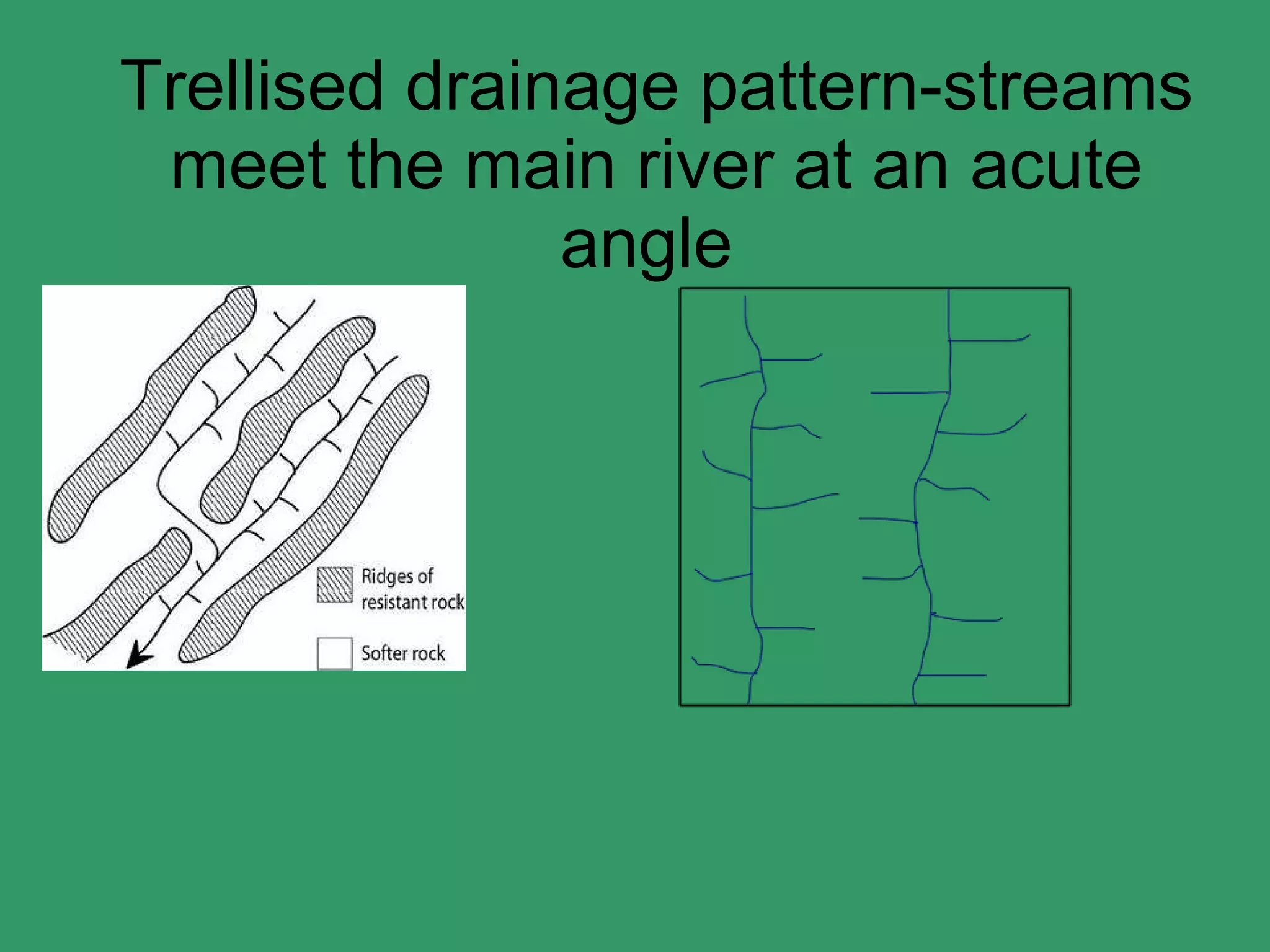 Trellised drainage pattern-streams meet the main river at an acute angle  