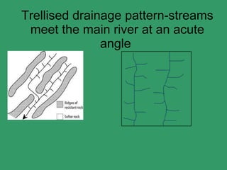Trellised drainage pattern-streams meet the main river at an acute angle  