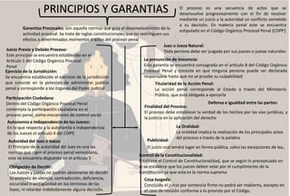 Mapa, El Proceso Penal Principios y garantias.pptx