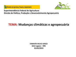Superintendência Federal de Agricultura
Divisão de Política, Produção e Desenvolvimento Agropecuário
TEMA: Mudanças climáticas e agropecuária
EMBRAPA MILHO SORGO
Sete Lagoas – MG
25/05/2015
 