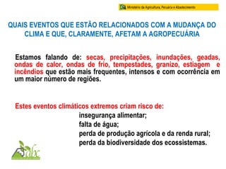QUAIS EVENTOS QUE ESTÃO RELACIONADOS COM A MUDANÇA DO
CLIMA E QUE, CLARAMENTE, AFETAM A AGROPECUÁRIA
Estamos falando de: secas, precipitações, inundações, geadas,
ondas de calor, ondas de frio, tempestades, granizo, estiagem e
incêndios que estão mais frequentes, intensos e com ocorrência em
um maior número de regiões.
Estes eventos climáticos extremos criam risco de:
insegurança alimentar;
falta de água;
perda de produção agrícola e da renda rural;
perda da biodiversidade dos ecossistemas.
 