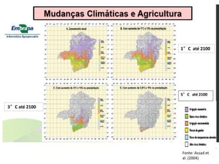 Fonte: Assad et
al. (2004)
1°C até 2100
3°C até 2100
5°C até 2100
 