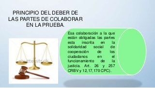PRINCIPIO DEL DEBER DE
LAS PARTES DE COLABORAR
EN LA PRUEBA.
Esa colaboración a la que
están obligadas las partes
esta inscrita en la
solidaridad social de
cooperación de los
ciudadanos en el
funcionamiento de la
justicia. Art. 26 y 257
CRBV y 12,17,170 CPC).
 