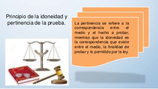 Principio de la idoneidad y
pertinencia de la prueba. La pertinencia se refiere a la
correspondencia entre el
medio y el hecho a probar,
mientras que la idoneidad es
la correspondencia que existe
entre el medio, la finalidad de
probar y lo permitido por la ley.
 