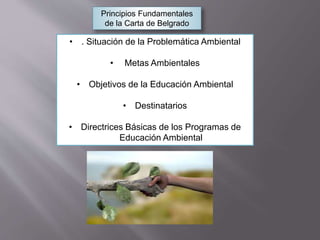Principios Fundamentales
de la Carta de Belgrado
• . Situación de la Problemática Ambiental
• Metas Ambientales
• Objetivos de la Educación Ambiental
• Destinatarios
• Directrices Básicas de los Programas de
Educación Ambiental
 