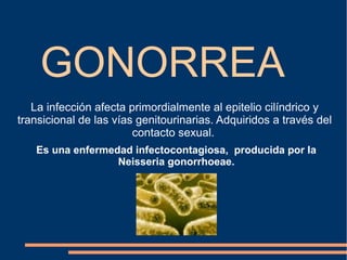 GONORREA
La infección afecta primordialmente al epitelio cilíndrico y
transicional de las vías genitourinarias. Adquiridos a través del
contacto sexual.
Es una enfermedad infectocontagiosa, producida por la
Neisseria gonorrhoeae.
 