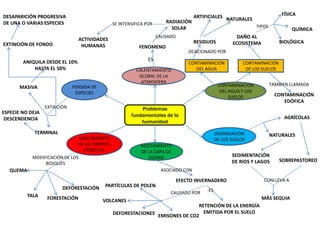 Problemas
fundamentales de la
humanidad
CALENTAMIENTO
GLOBAL DE LA
ATMOSFERA
DEGRADACION
DE LOS SUELOS
CONTAMINACION
DEL AGUA Y LOS
SUELOS
AGOTAMIENTO
DE LA CAPA DE
OZONO
AGOTAMIENTO
DE LA CUBIERTA
FORESTAL
PERDIDA DE
ESPECIES
ES
FENOMENO
CAUSADO
RADIACIÓN
SOLAR
SE INTENSIFICA POR
ACTIVIDADES
HUMANAS
CONTAMINACION
DEL AGUA
OCACIONADO POR
RESIDUOS
ARTIFICIALES NATURALES
CONTAMINACIÓN
DE LOS SUELOS
DAÑO AL
ECOSISTEMA
TIPOS
FÍSICA
QUÍMICA
BIOLÓGICA
TAMBIEN LLAMADA
CONTAMINACIÓN
EDÓFICA
AGRÍCOLAS
NATURALES
SOBREPASTOREO
SEDIMENTACIÓN
DE RIOS Y LAGOS
CONLLEVA A
MÁS SEQUIA
ASOCIADO CON
EFECTO INVERNADERO
ES
RETENCIÓN DE LA ENERGÍA
EMITIDA POR EL SUELO
CAUSADO POR
VOLCANES
DEFORESTACIONES EMISONES DE CO2
PARTÍCULAS DE POLEN
MODIFICACIÓN DE LOS
BOSQUES
DEFORESTACIÓN
FORESTACIÓNTALA
QUEMA
EXTINCIÓN
TERMINAL
MASIVA
ESPECIE NO DEJA
DESCENDENCIA
ANIQUILA DESDE EL 10%
HASTA EL 50%
EXTINCIÓN DE FONDO
DESAPARICIÓN PROGRESIVA
DE UNA O VARIAS ESPECIES