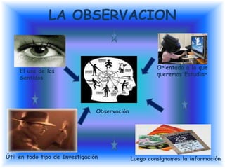 LA OBSERVACION Orientado a lo que queremos Estudiar El uso de los Sentidos Observación Útil en todo tipo de Investigación Luego consignamos la información 