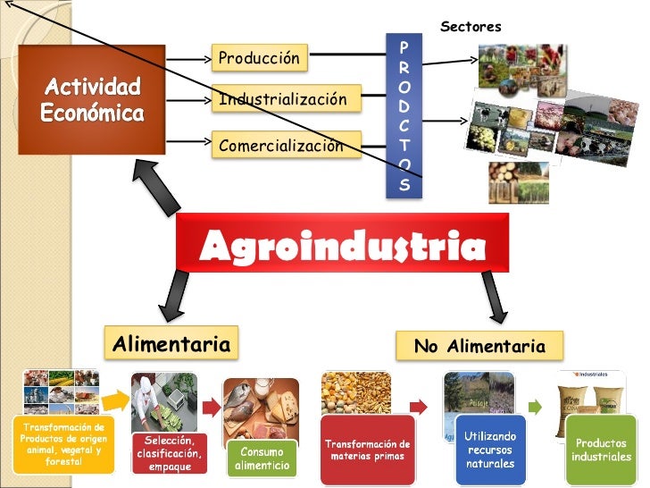 Mapa mental TIC en la Agroindustria