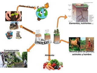 Elementos, nutrientes …
Contaminación Recurso para las plantas,
Alimento animales y hombre