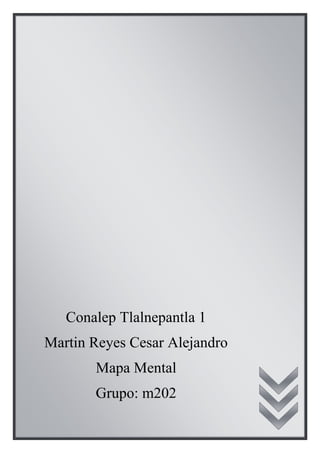 Conalep Tlalnepantla 1
Martin Reyes Cesar Alejandro
Mapa Mental
Grupo: m202
 