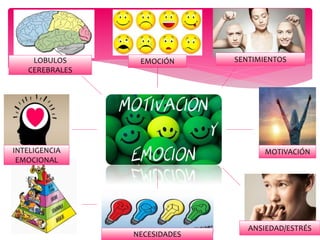 EMOCIÓN SENTIMIENTOS
MOTIVACIÓN
ANSIEDAD/ESTRÉS
NECESIDADES
INTELIGENCIA
EMOCIONAL
LOBULOS
CEREBRALES
 