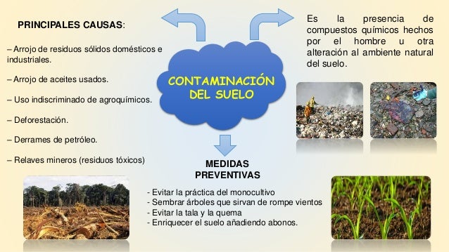 Mapa mental