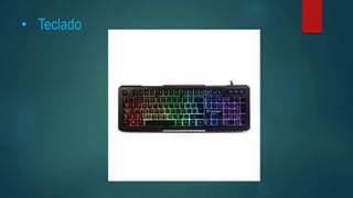 • Teclado
 