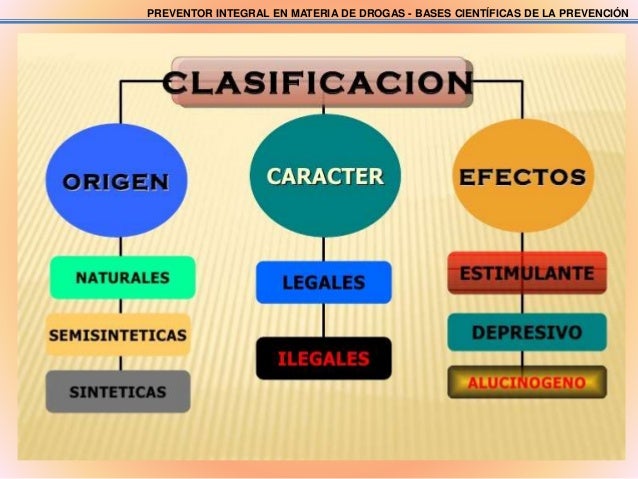 Mapa mental actividad 1