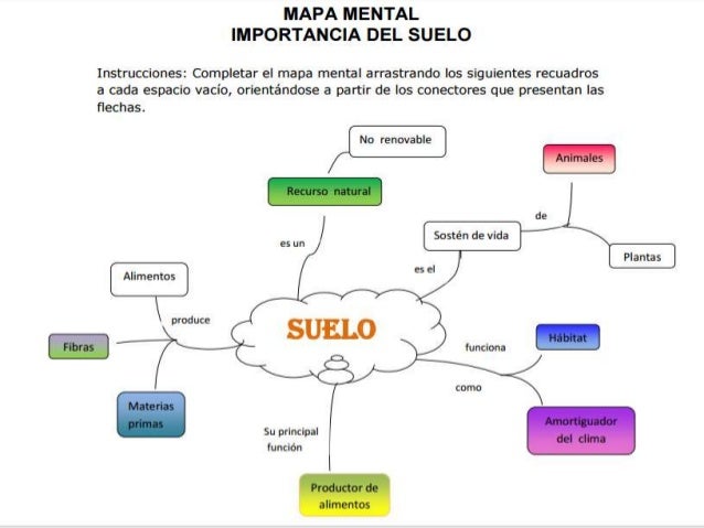 Mapa mental importancia del suelo