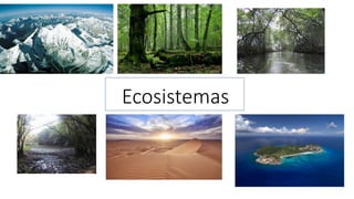 Ecosistemas 
