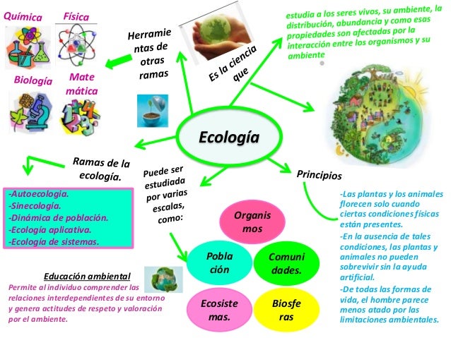 Ecologia y Educacion Ambiental