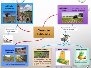 Clases de
Latifundio
Latifundio
Económico
Caracterizada por
la no inversión
Latifundio
Social
La tierra no es
cultivada por el dueño
El propietario de las tierras
goza de una renta
Renta Trabajo
El arrendatario de las
tierras paga trabajándole
el resto de las tierras al
dueño
Renta Dinero Renta Producto
Se cobra con los
productos cosechados
Latifundio
Natural
Por las condiciones geográficas
 