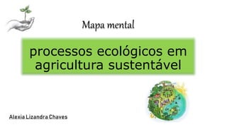 Mapa mental
processos ecológicos em
agricultura sustentável
Alexia Lizandra Chaves
 
