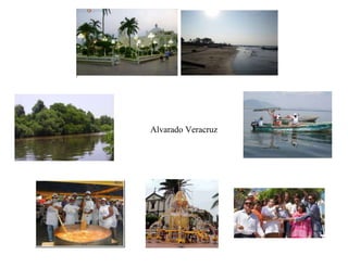 Alvarado Veracruz
 