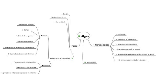 Mapa mental biologia Mapa mental biologia