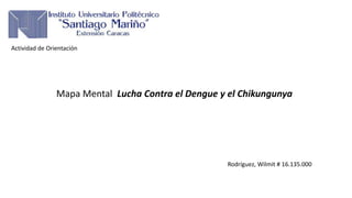 Actividad de Orientación 
Mapa Mental Lucha Contra el Dengue y el Chikungunya 
Rodríguez, Wilmit # 16.135.000 
 