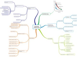 Mapa mental ciclos de trabajo mcia