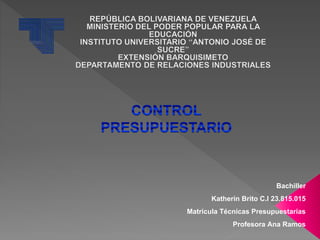 Bachiller 
Katherin Brito C.I 23.815.015 
Matricula Técnicas Presupuestarias 
Profesora Ana Ramos 
 