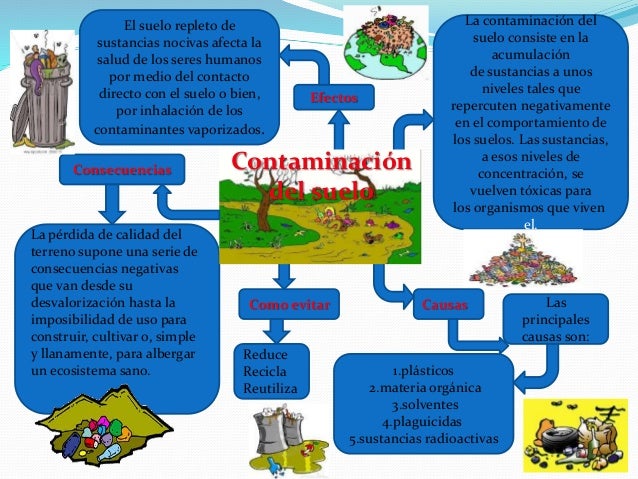 Mapa mental cultural 2