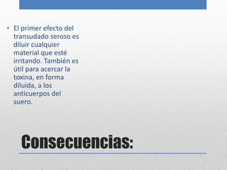 • El primer efecto del 
transudado seroso es 
diluir cualquier 
material que esté 
irritando. También es 
útil para acercar la 
toxina, en forma 
diluida, a los 
anticuerpos del 
suero. 
Consecuencias: 
 