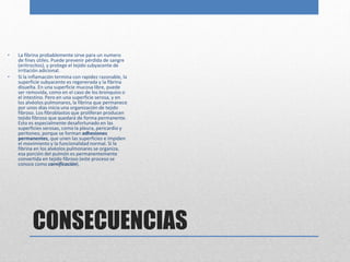 • La fibrina probablemente sirve para un numero 
de fines útiles. Puede prevenir pérdida de sangre 
(eritrocitos), y protege el tejido subyacente de 
irritación adicional. 
• Si la inflamación termina con rapidez razonable, la 
superficie subyacente es regenerada y la fibrina 
disuelta. En una superficie mucosa libre, puede 
ser removida, como en el caso de los bronquios o 
el intestino. Pero en una superficie serosa, y en 
los alvéolos pulmonares, la fibrina que permanece 
por unos días inicia una organización de tejido 
fibroso. Los fibroblastos que proliferan producen 
tejido fibroso que quedará de forma permanente. 
Esto es especialmente desafortunado en las 
superficies serosas, como la pleura, pericardio y 
peritoneo, porque se forman adhesiones 
permanentes, que unen las superficies e impiden 
el movimiento y la funcionalidad normal. Si la 
fibrina en los alvéolos pulmonares se organiza, 
esa porción del pulmón es permanentemente 
convertida en tejido fibroso (este proceso se 
conoce como carnificación). 
CONSECUENCIAS 
 