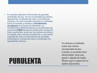 • Es caracterizada por la formación de grandes 
cantidades de pus. Pus es un exudado purulento, 
típicamente un líquido de color y consistencia 
cremosa. Su color amarillo cremoso es cambiado 
hacia el azulado o verdoso si Pseudomona 
aeruginosa es la bacteria infectante. La 
característica distintiva del pus es la presencia de 
numerososPMN (leucocitos polimorfo nucleares). 
Estos neutrófilos, junto con las células necróticas 
en estado más o menos licuefactivo, y una menor 
cantidad de otros constituyentes de exudado 
inflamatorio, incluyendo suero, constituyen los 
ingredientes del pus. 
PURULENTA 
Un absceso es definido 
como una colecta 
circunscripta de pus. 
Cuando se encuentra bien 
desarrollado, tiene una 
pared o cápsula de tejido 
fibroso que lo separa de los 
tejidos adyacentes. 
 