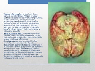 • Aspecto microscópico. La aparición de un 
número considerable de PMN en el tejido 
justifica el diagnóstico de inflamación purulenta. 
También linfocitos, células plasmáticas y 
macrófagos están presentes en un número 
variable en muchas reacciones inflamatorias. 
Muchas de los neutrófilos sufren necrosis 
(piocitos) y son reconocidos por su pequeño 
tamaño, núcleo oscuro y de forma irregular, y 
citoplasma acidófilo. 
• Aspecto macroscópico. El exudado purulento 
consiste en pus, de apariencia general viscosa, 
con posibles variaciones de consistencia (desde 
acuosa en algunas infecciones 
de estreptococos hasta un material sólido 
producto e la reabsorción del fluido). La 
decoloración roja resultado de la hemorragia, y 
el color azul-verdoso que proviene del pigmento 
de organismos como Pseudomonas también 
han sido descriptas. La presencia de exudado 
purulento en los alvéolos pulmonares, una fase 
de neumonía llamada hepatización gris, es 
demostrada incidiendo el pulmón y presionando 
en la superficie de corte. 
 