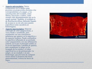 • Aspecto microscópico. Varios 
componentes de la sangre están 
presentes en proporciones distintas a las 
correspondientes a la sangre, y los 
constituyentes del exudado, como 
fibrina, leucocitos o ambos, están 
siempre más abundantemente que en la 
sangre normal. También, el exudado es 
de distribución difusa, habiendo llegado 
de un área (y no de solo unos puntos 
específicos como sucedería en 
hemorragias). 
• Aspecto macroscópico: Material 
coloreado de color sanguinolento, a 
veces fluido o semifluido, pero 
usualmente con una consistencia 
gelatinosa que aparece en la superficie o 
en espacios tisulares. Puede confundirse 
la superficie inflamada de un profundo 
color sanguinolento con una inflamación 
catarral, en la que el principal cambio es 
la severa hiperemia y pérdida de epitelio, 
pero usualmente la sangre no ha 
escapado de los tejidos y el rubor 
superficial no es tan pronunciado. La 
sangre, en un exudado o en una 
hemorragia, que proviene de cualquier 
sector menos el posterior del tracto 
gastrointestinal, colorea las heces de 
negro. 
 