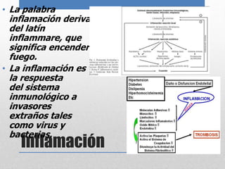 • La palabra 
inflamación deriva 
del latín 
inflammare, que 
significa encender 
fuego. 
• La inflamación es 
la respuesta 
del sistema 
inmunológico a 
invasores 
extraños tales 
como virus y 
bacterias. 
Inflamación 
 