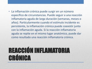 • La inflamación crónica puede surgir en un número 
específico de circunstancias. Puede seguir a una reacción 
inflamatoria aguda de larga duración (semanas, meses o 
años). Particularmente cuando el estímulo incidente es 
persistente, la inflamación crónica puede coexistir junto 
con la inflamación aguda. Si la reacción inflamatoria 
aguda se repite en el mismo lugar anatómico, puede dar 
como resultado una reacción inflamatoria crónica. 
REACCIÓN INFLAMATORIA 
CRÓNICA 
 